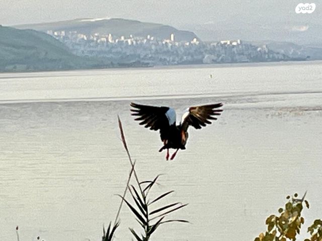 בית פרטי/ קוטג', האון