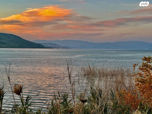 בית פרטי/ קוטג', האון