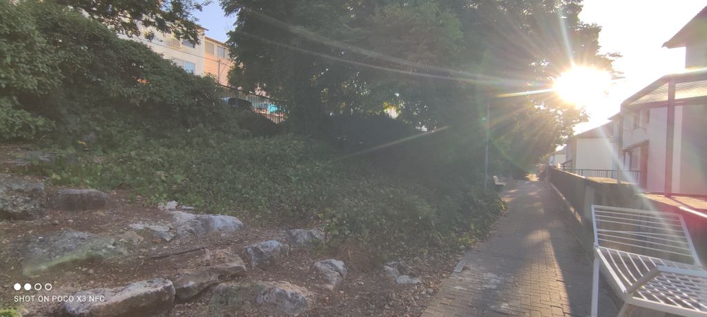 דירה, ההגנה 41, יצחק רבין, מעלות תרשיחא