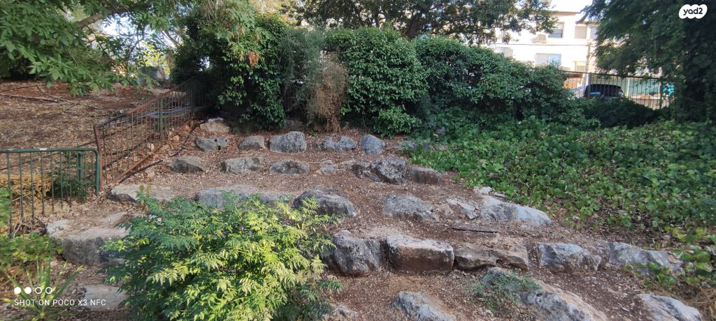 דירה, ההגנה 41, יצחק רבין, מעלות תרשיחא