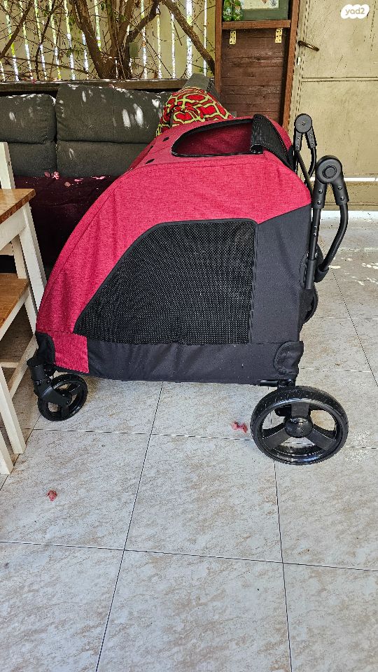 תמונת מודעה - חיות מחמד