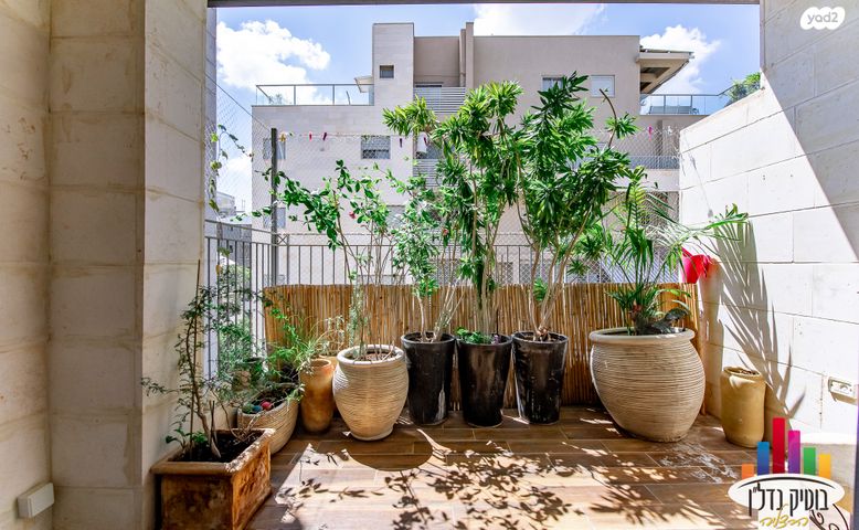 דירה, אוסישקין, הרצליה