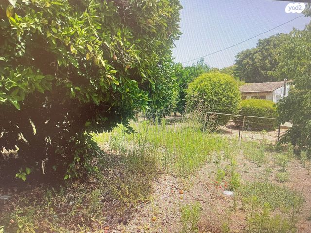 בית פרטי/ קוטג', נווה עמל, הרצליה