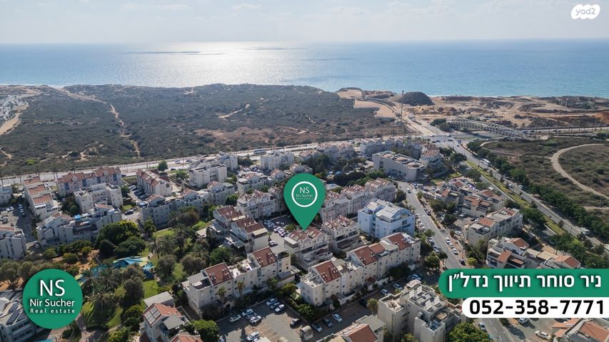 אירוס הארגמן 