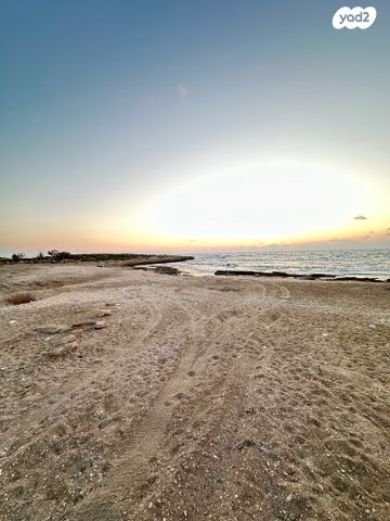 מגרשים