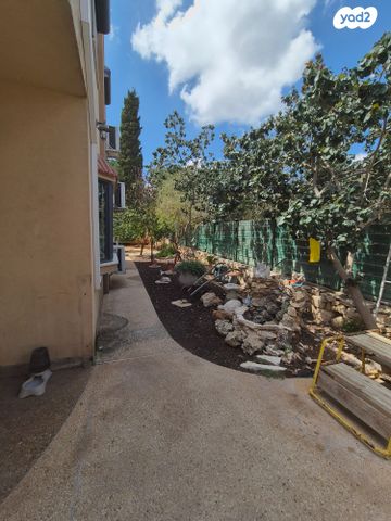 דו משפחתי, הארז 59, קציר, קציר