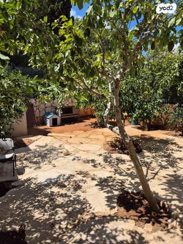 דו משפחתי, הארז 59, קציר, קציר