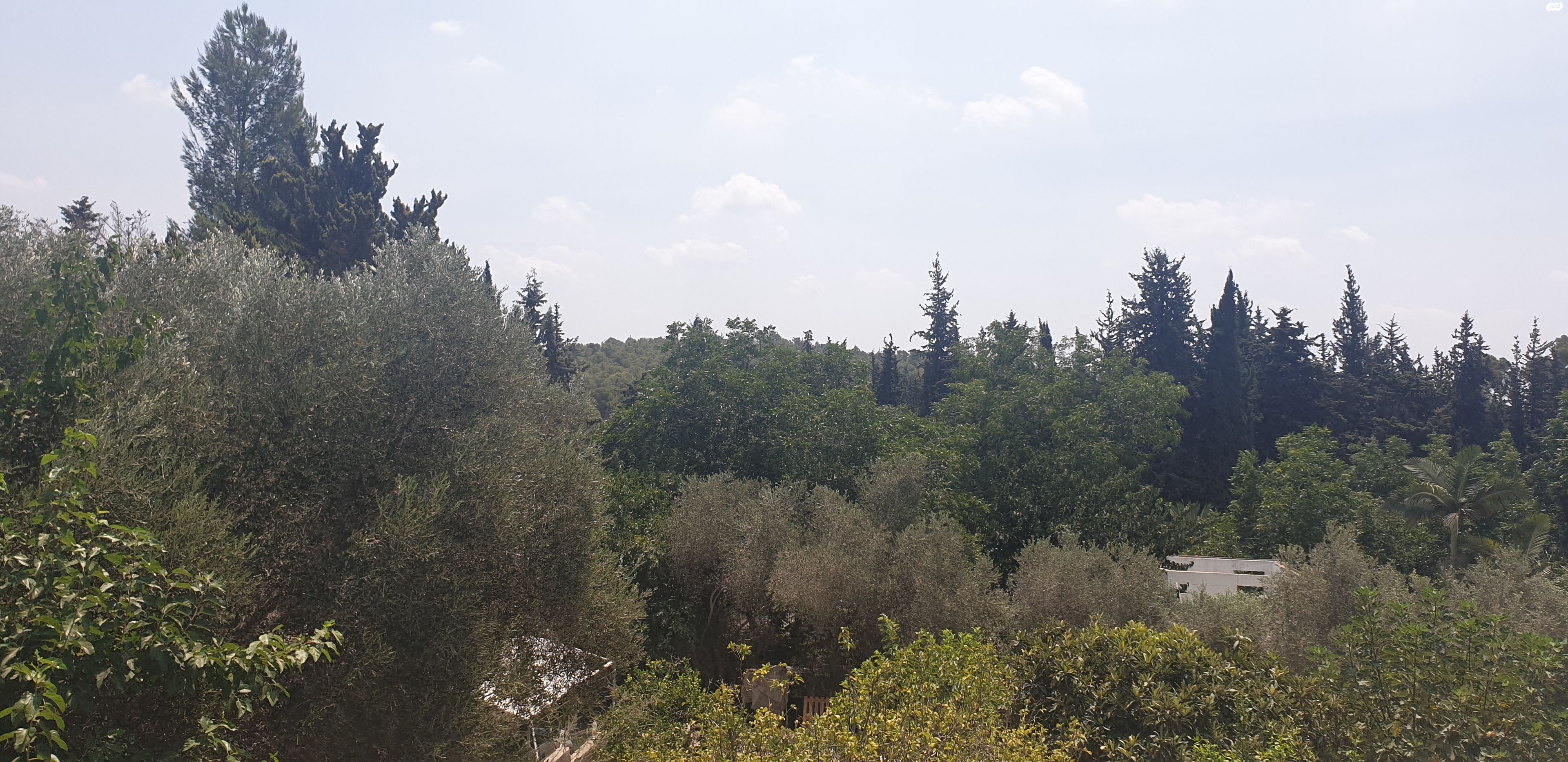 בית פרטי/ קוטג'