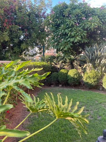 בית פרטי/ קוטג', קרית יערים, רמת השרון