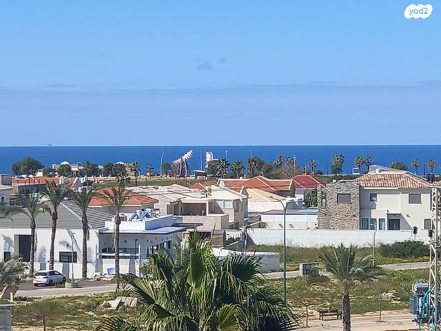 אבא אחימאיר 109