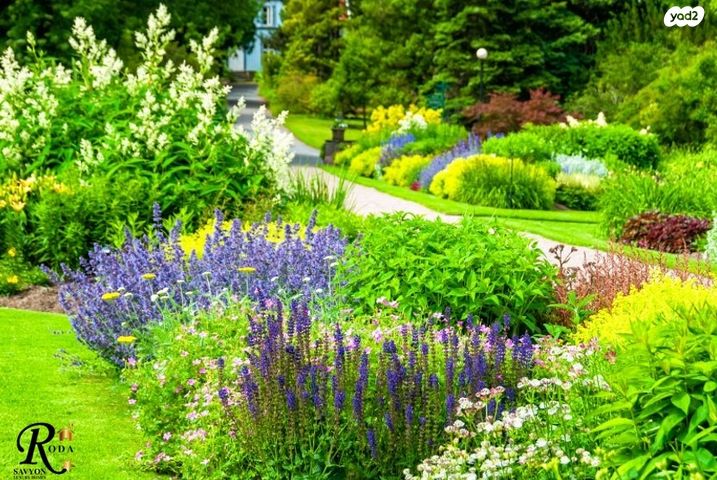 בית פרטי/ קוטג', סביון