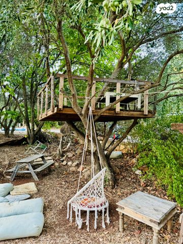 משק חקלאי/ נחלה, אמירים