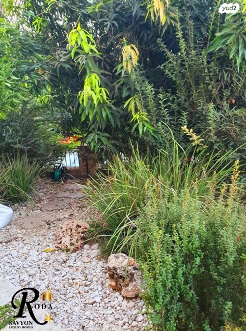 בית פרטי/ קוטג', סביון