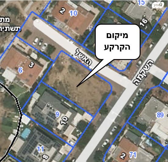 השיקמה 12