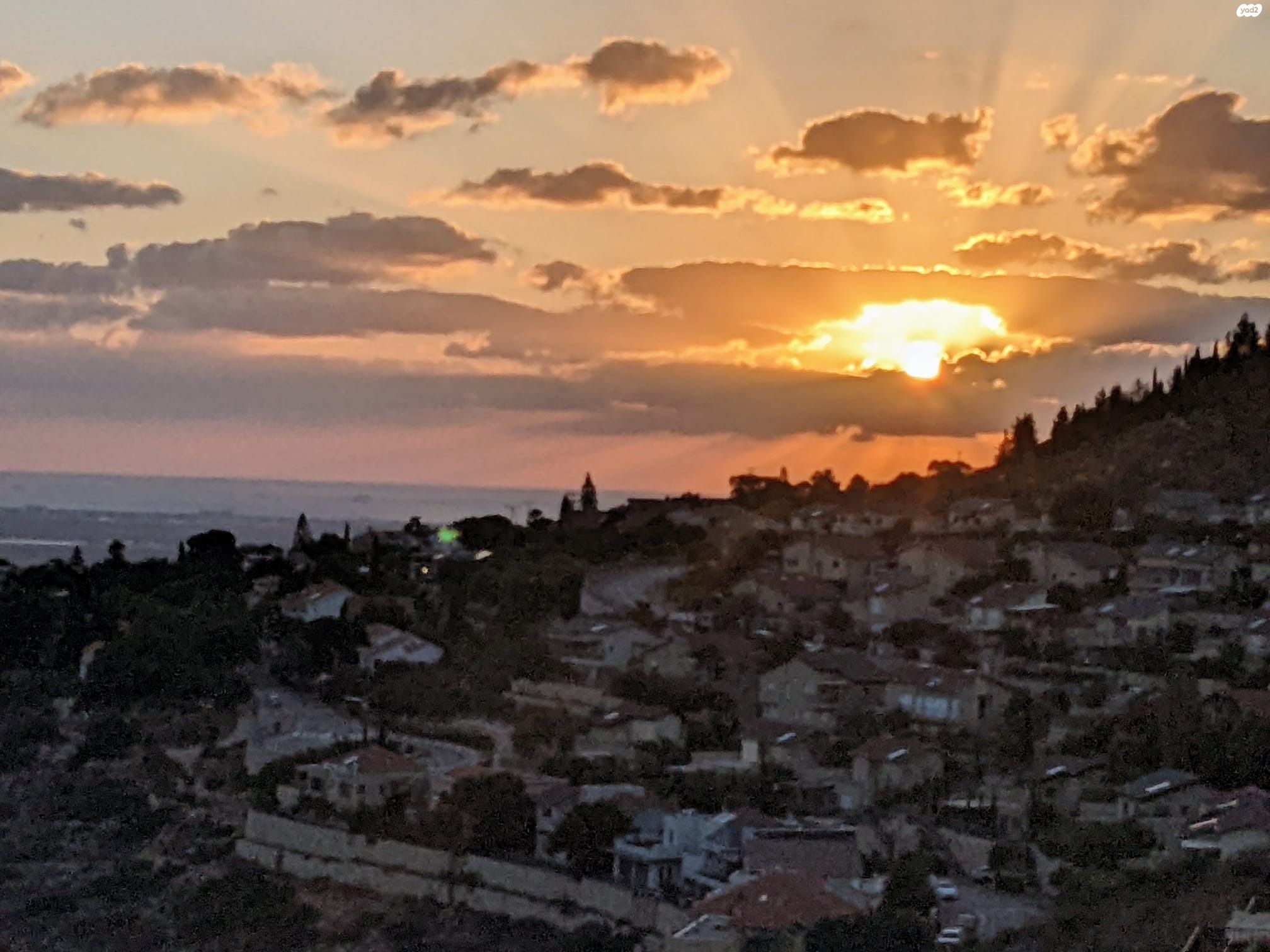 דובדבן 