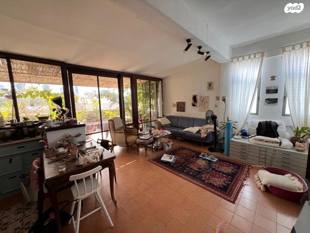 שלמה המלך 99