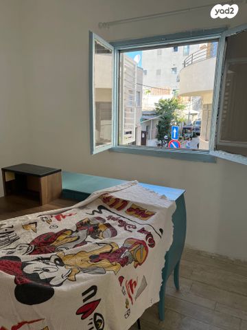 אלישיב 14