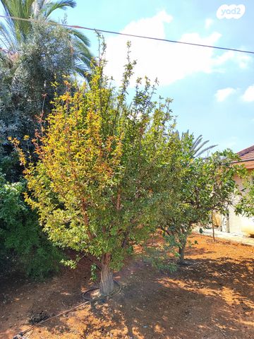 בית פרטי/ קוטג', ליבנה, אלפי מנשה