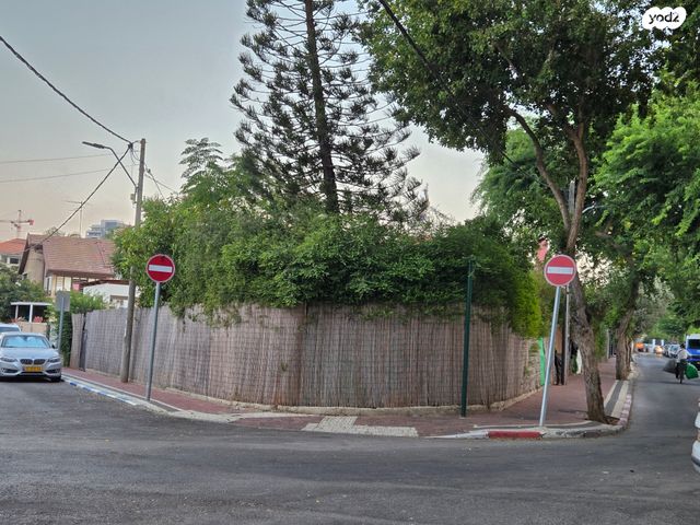 נתן בירנבוים 2