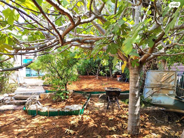 בית פרטי/ קוטג', ליבנה, אלפי מנשה