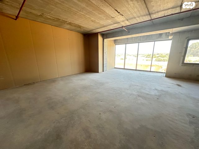 משרדים, שאר העיר, נס ציונה