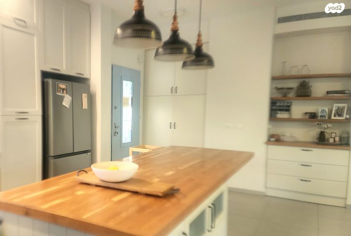 בית פרטי/ קוטג', רמת דוד