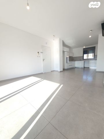 דירה, כלנית, הפרחים, חריש