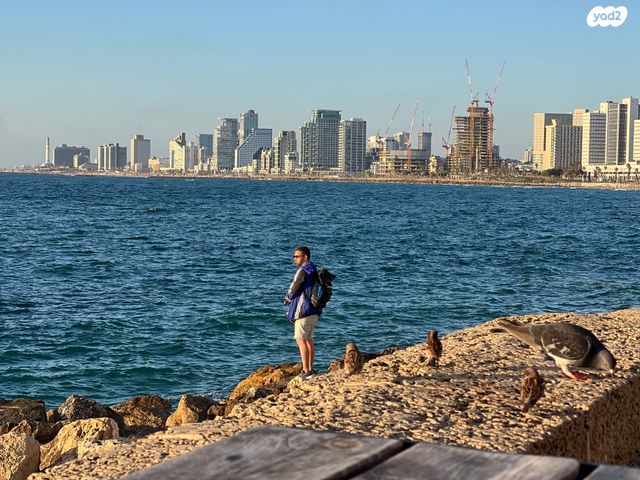דירה, חברון, לב תל אביב, לב העיר צפון, תל אביב יפו