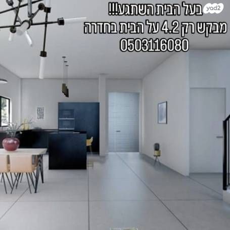 ברנדייס