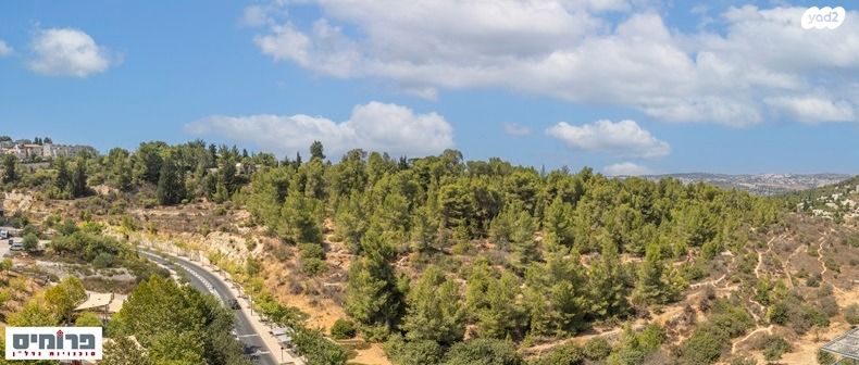 גג/ פנטהאוז, דרך כרמית 12, עין כרם, ירושלים