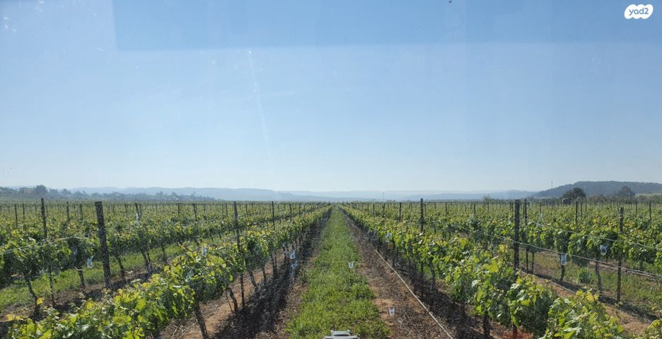 משק חקלאי/ נחלה, מסילת ציון