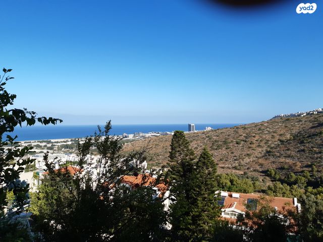 יצחק רובינשטיין 2