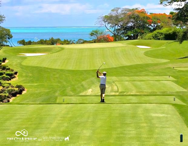 מגרשים, שדרות התמרים, חוף צפוני, אילת