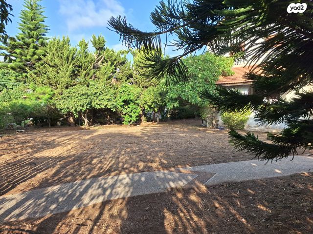 מגרשים, בני בנימין, אבן יהודה