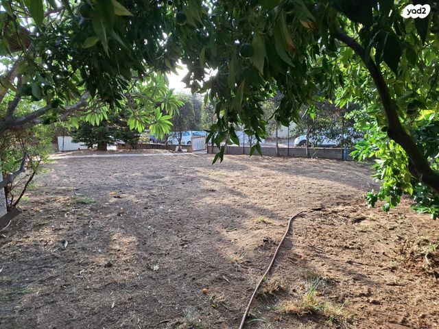 מגרשים, בני בנימין, אבן יהודה