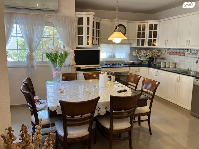 מאיר בר אילן 