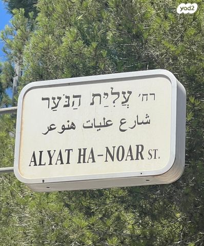 עליית הנוער 