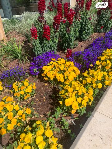 דירה, שדרות ההשכלה 17, ביצרון ורמת ישראל, תל אביב יפו