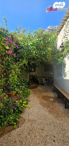 בית פרטי/ קוטג', חסידי האומות, מכללת תל אביב יפו, דקר, תל אביב יפו