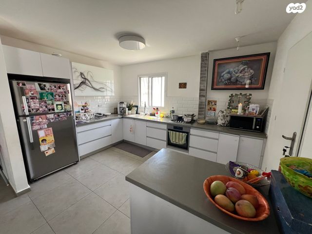 דירת גן, אקליפטוס, אופקים