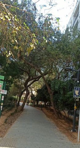 דירה, בורוכוב, גבעתיים