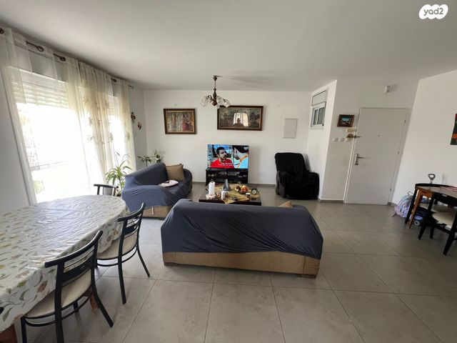 דירת גן, אקליפטוס, אופקים