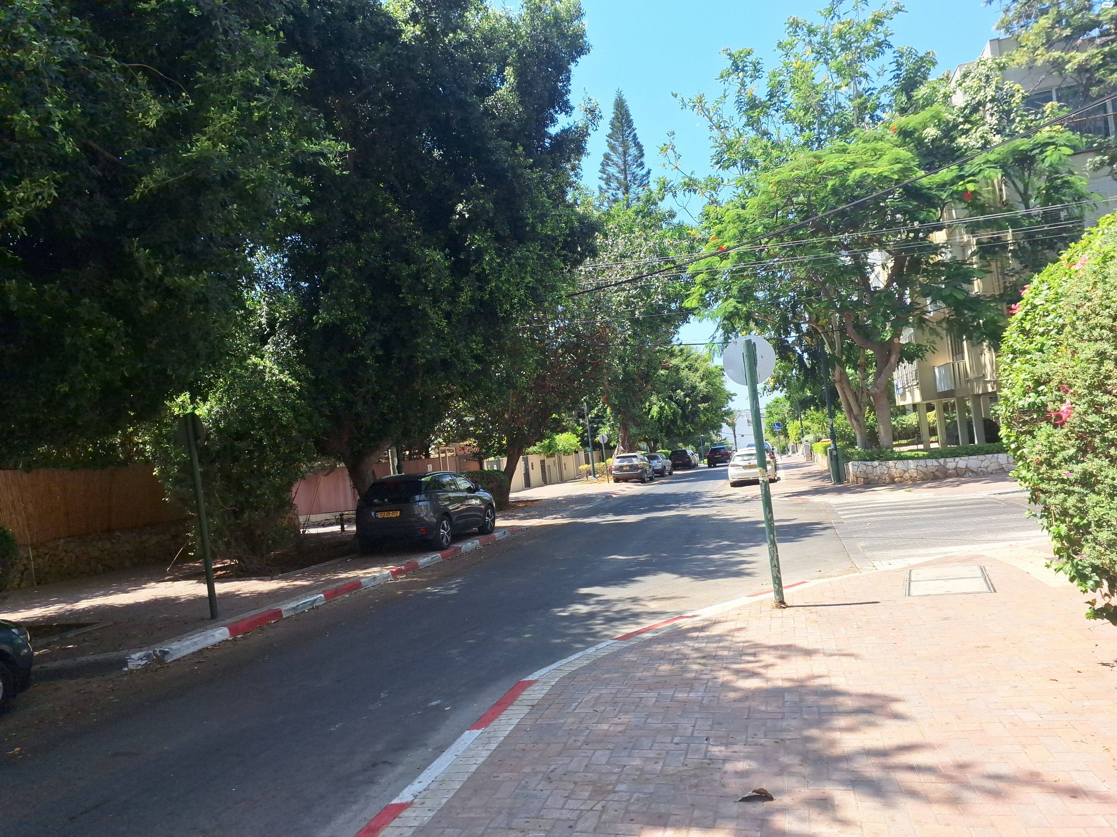 דירה