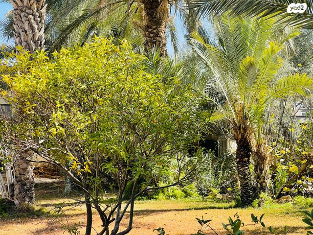 משק חקלאי/ נחלה, שאר העיר, עומר