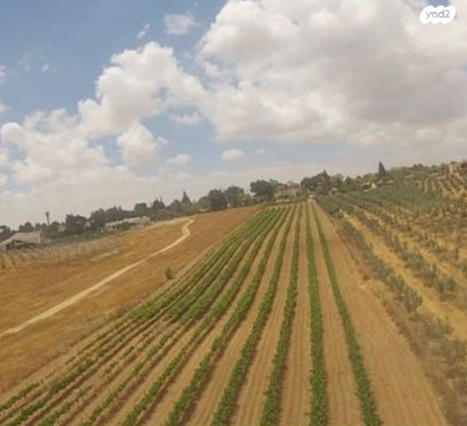 משק חקלאי/ נחלה, שאר העיר, עומר