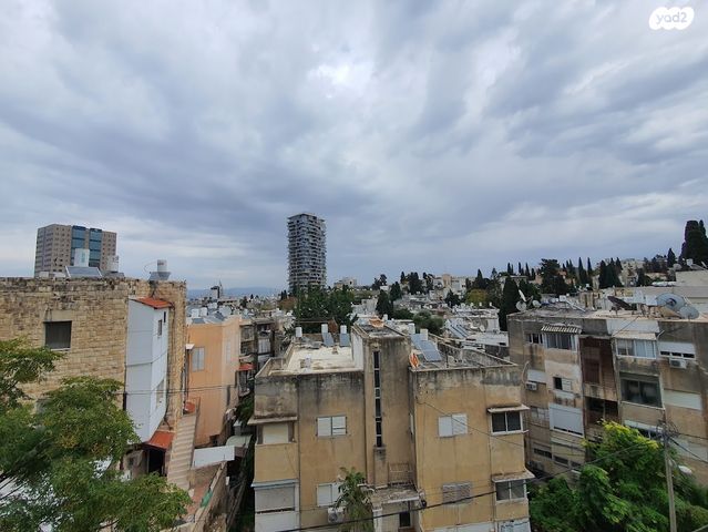 דירה, הרצליה, חיפה