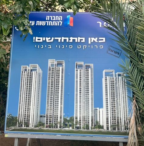 שמחה הולצברג 