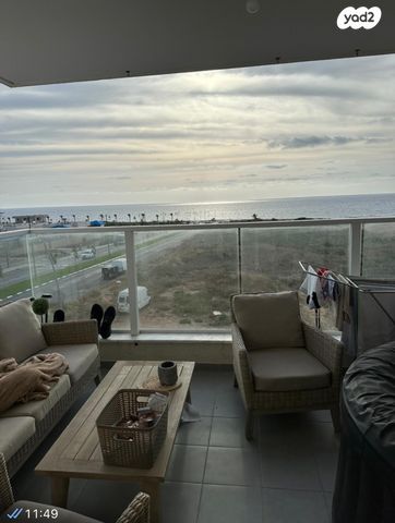 עיר ימים / הבלוט