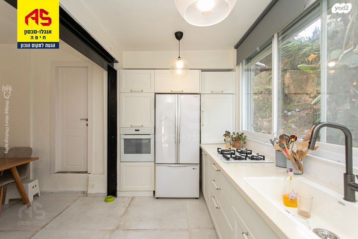 שושנת הכרמל 