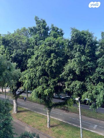 דירה, שדרות ח"ן, הצפון הישן - דרום, תל אביב יפו